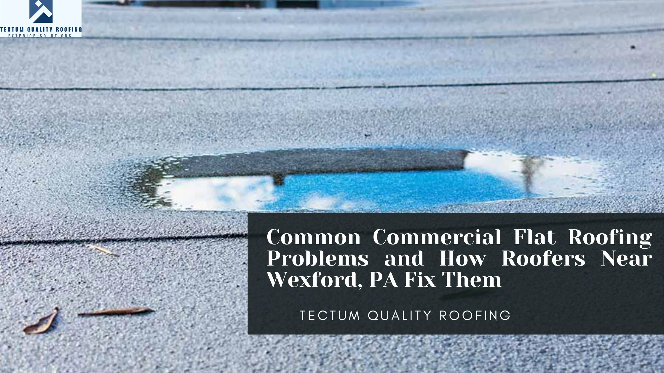 Common Commercial Flat Roofing Problems and How Roofers Near Wexford, PA Fix Them