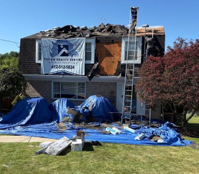 Atlas Pristine Shingles - Summer Storm