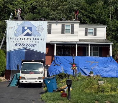 Professional Roof Replacement